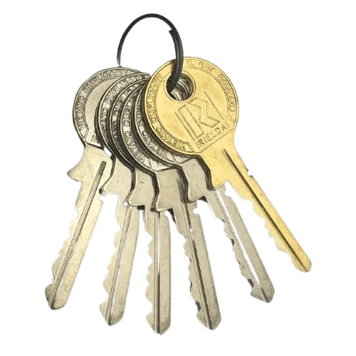 Rielda 1 GOLD key + 5 SILVER keys mod.503 – 099905C | Vending Parts